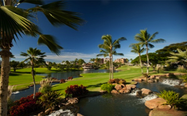 Piranha-Golf---Hawaii-Main